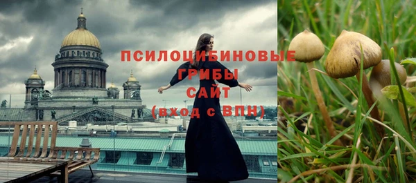 прущая мука Алзамай