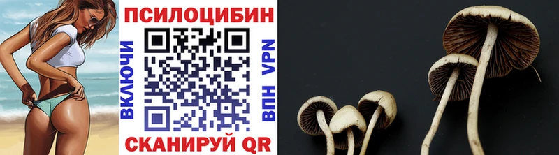 Псилоцибиновые грибы прущие грибы  дарнет шоп  Междуреченск 